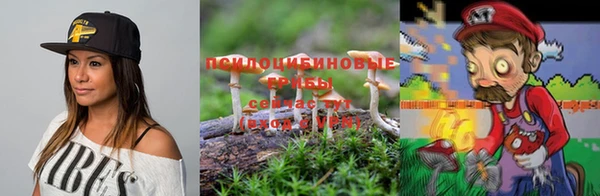 МДМА Горнозаводск