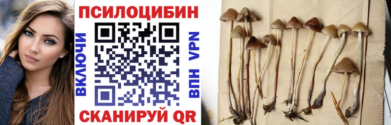 Псилоцибиновые грибы Cubensis Грязи