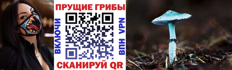 маркетплейс телеграм  Грязи  Галлюциногенные грибы MAGIC MUSHROOMS 