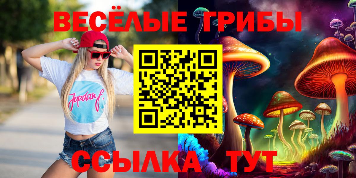 Псилоцибиновые грибы Psilocybe Грязи