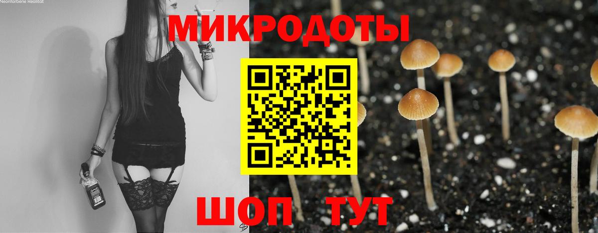 Галлюциногенные грибы MAGIC MUSHROOMS  Вход с VPN  хочу наркоту  Грязи 